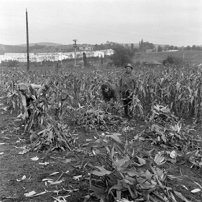 minerva_1984_c2_c7r2_018