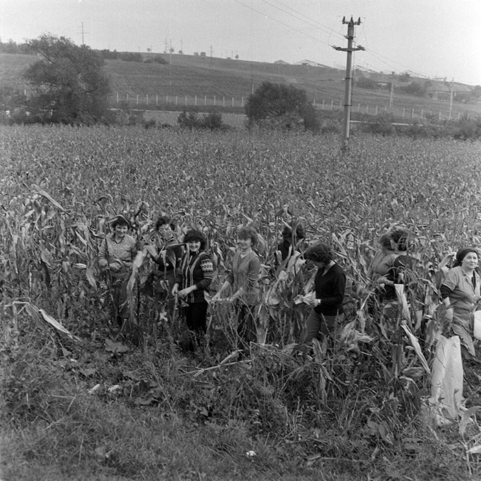 minerva_1984_c2_c7r2_027