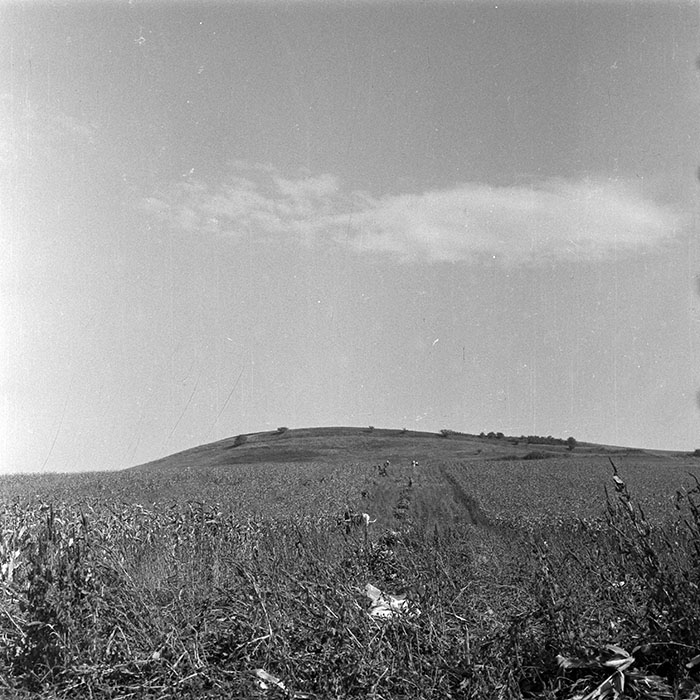 minerva_1984_c2_c7r2_030