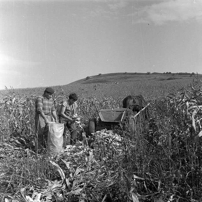 minerva_1984_c2_c7r2_032