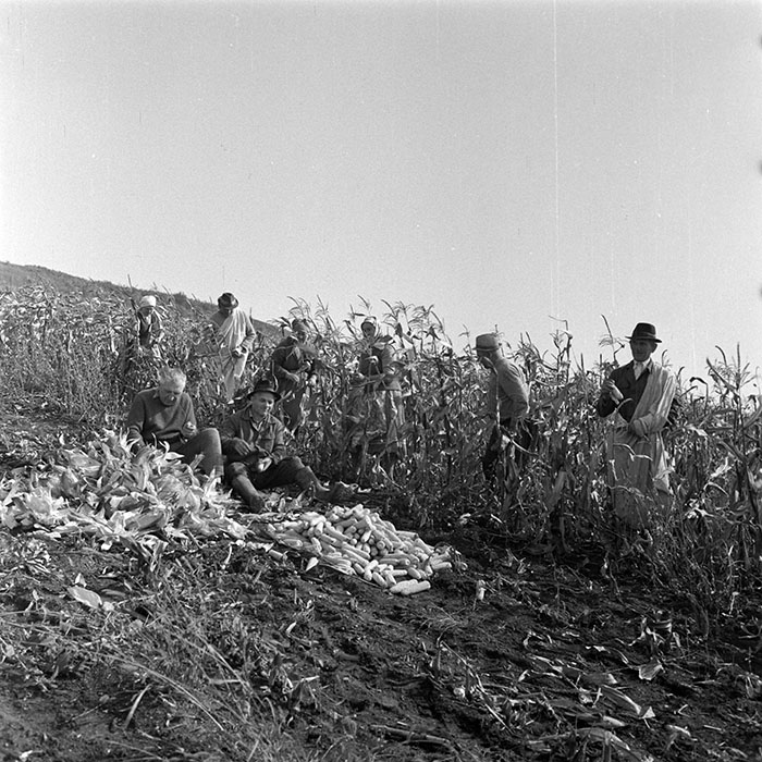 minerva_1984_c2_c7r2_034