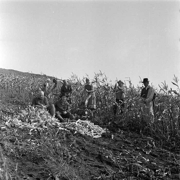 minerva_1984_c2_c7r2_035