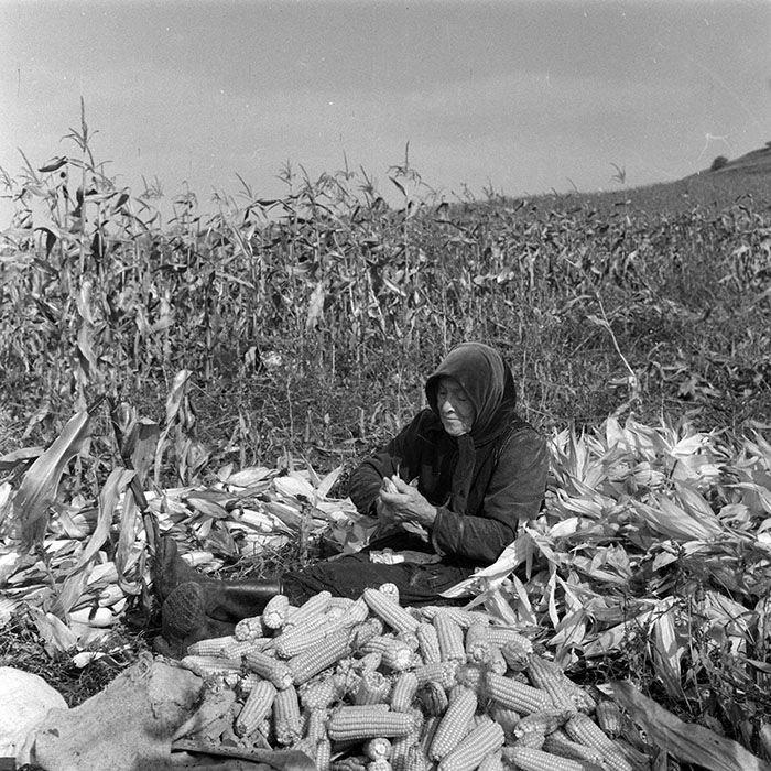 minerva_1984_c2_c7r2_040