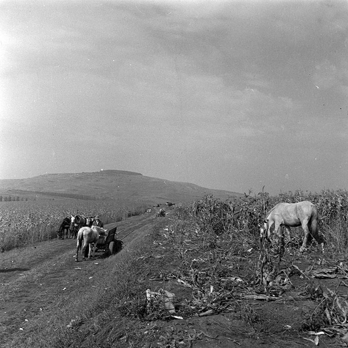 minerva_1984_c2_c7r2_041