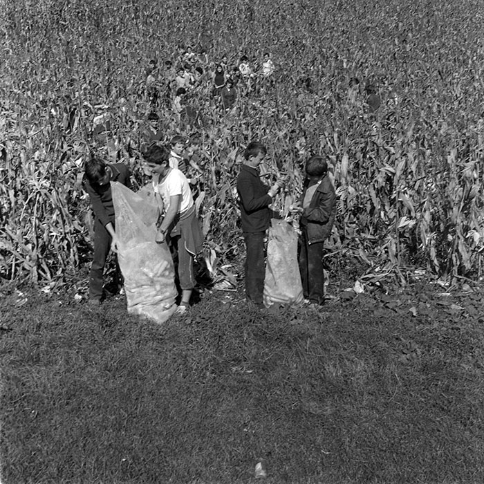 minerva_1984_c2_c7r2_044