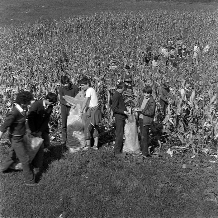 minerva_1984_c2_c7r2_045