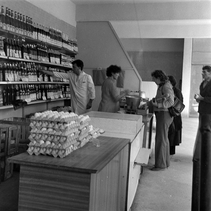 minerva_1984_c2_c7r2_049