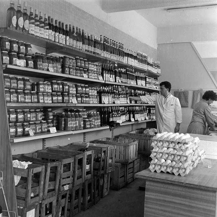 minerva_1984_c2_c7r2_051