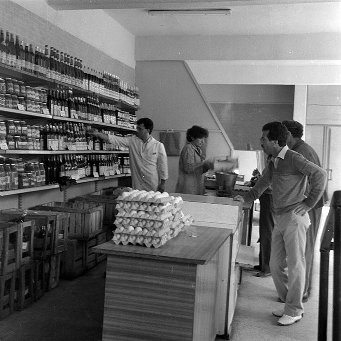 minerva_1984_c2_c7r2_052