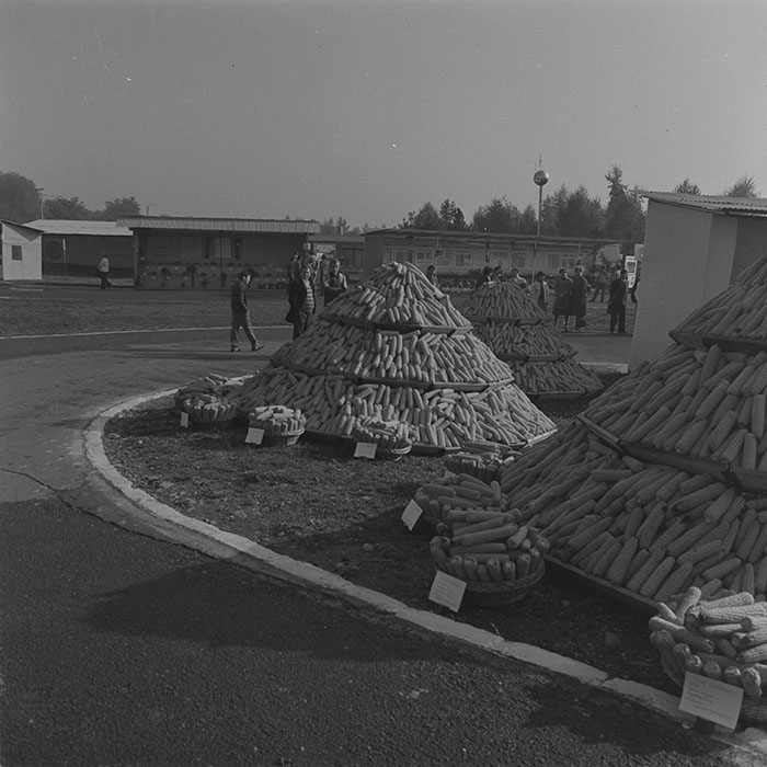 minerva_1984_c2_c7r4_001