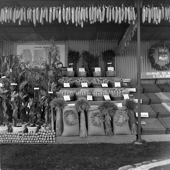 minerva_1984_c2_c7r4_002