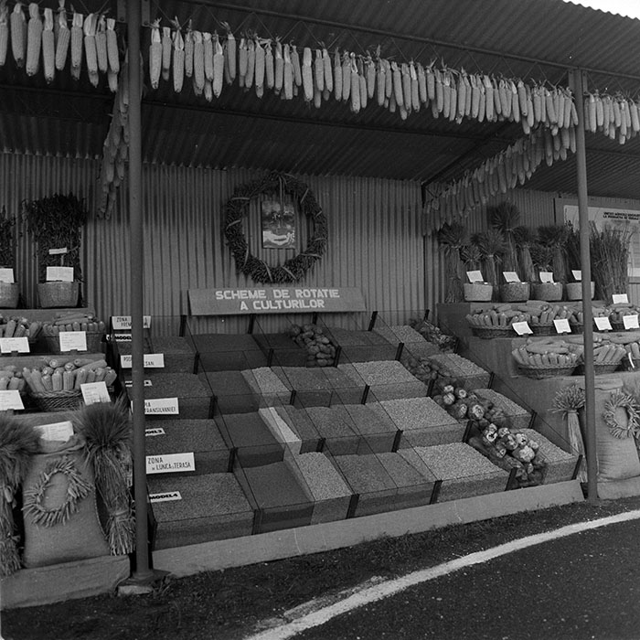 minerva_1984_c2_c7r4_003