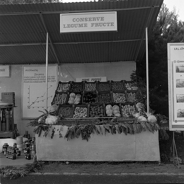 minerva_1984_c2_c7r4_006