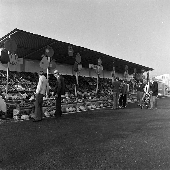 minerva_1984_c2_c7r4_007