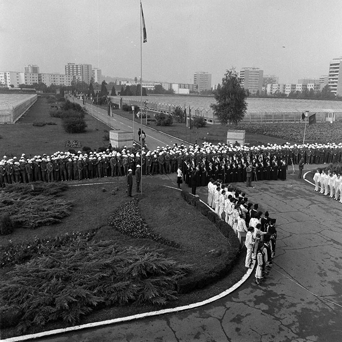 minerva_1984_c2_c7r4_009