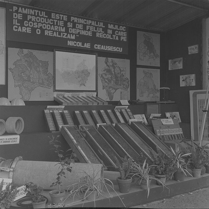 minerva_1984_c2_c7r4_011