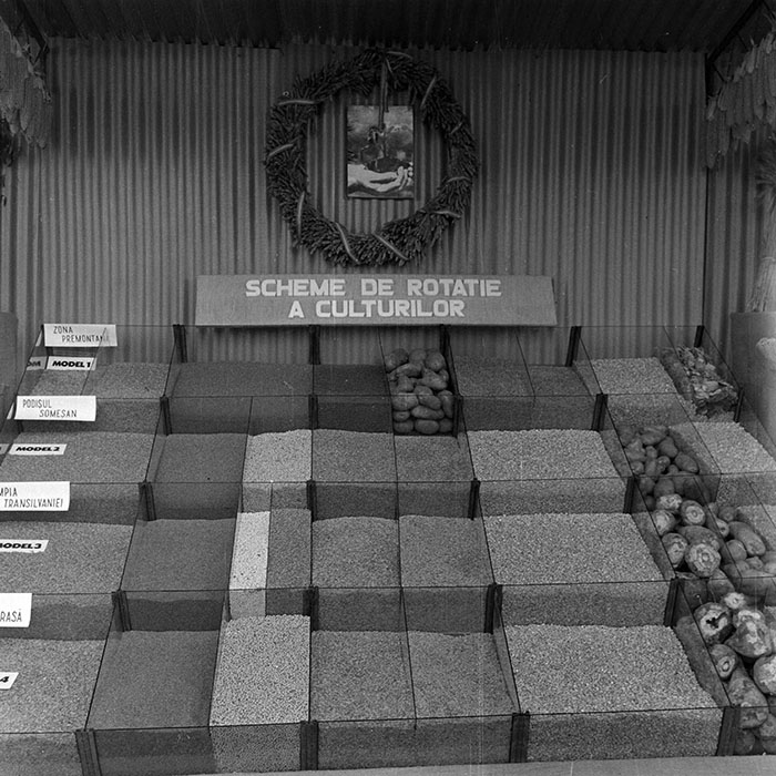 minerva_1984_c2_c7r4_013