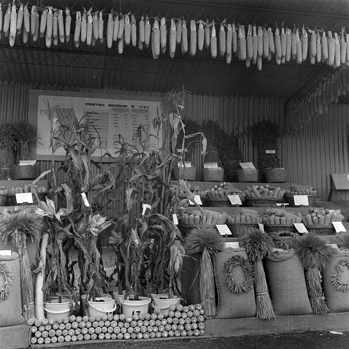 minerva_1984_c2_c7r4_015