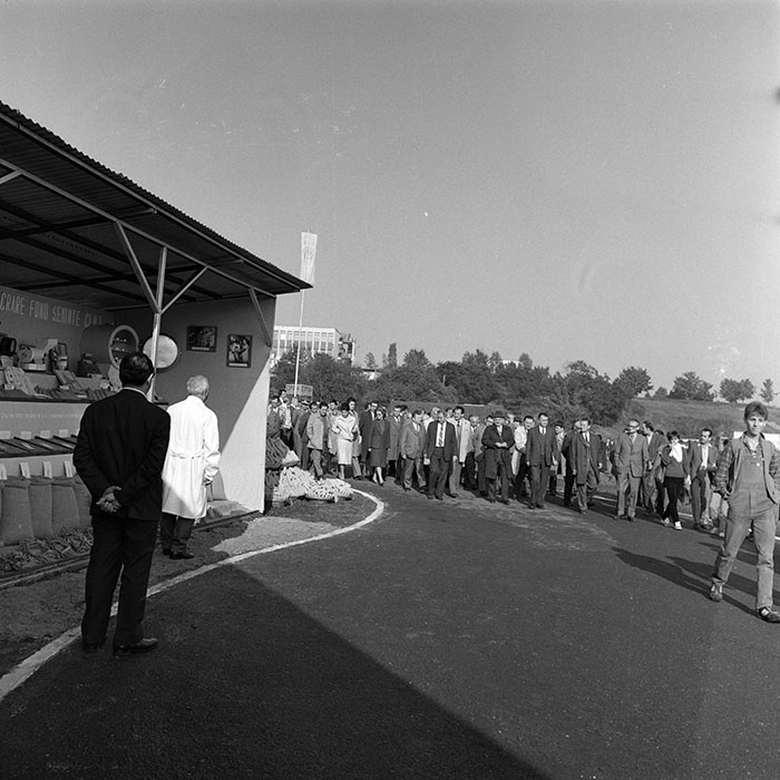 minerva_1984_c2_c7r4_018