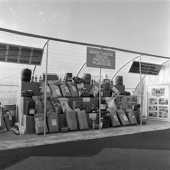 minerva_1984_c2_c7r4_019