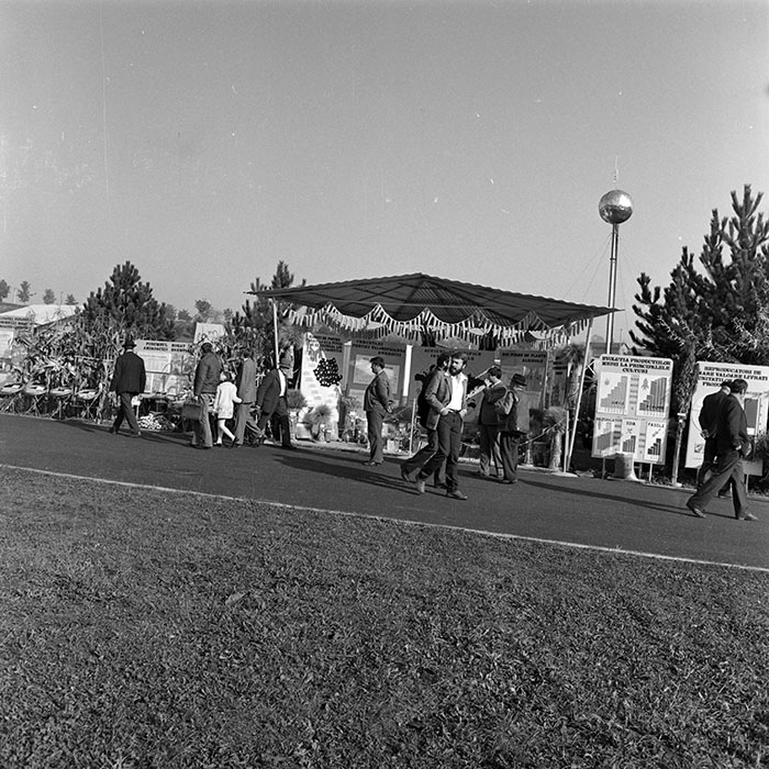 minerva_1984_c2_c7r4_020