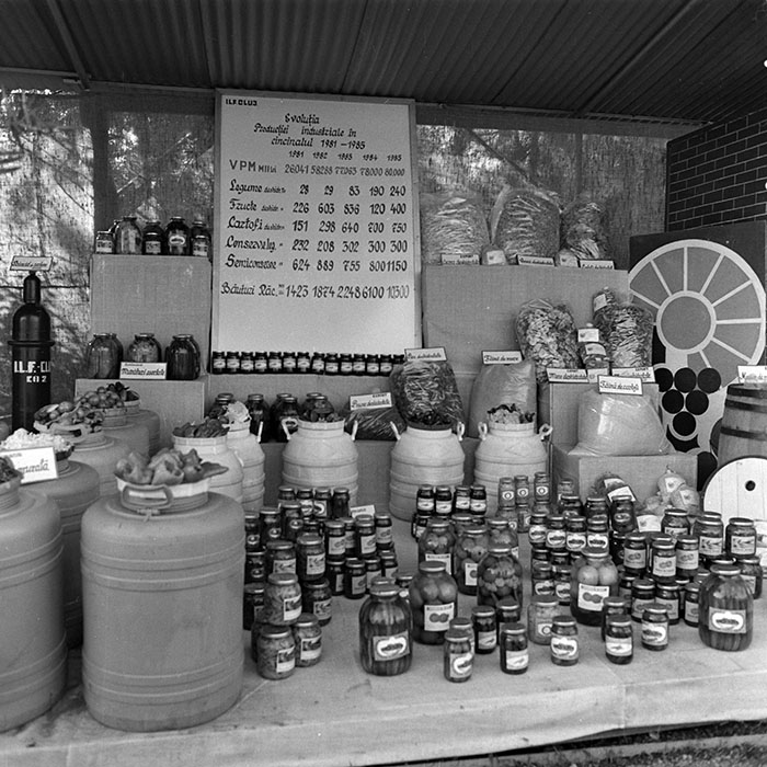 minerva_1984_c2_c7r4_021