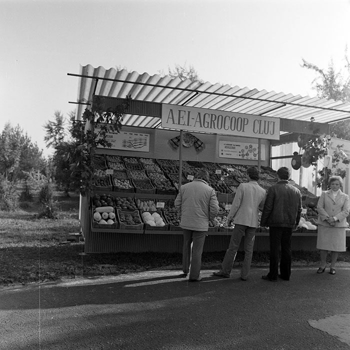 minerva_1984_c2_c7r4_023