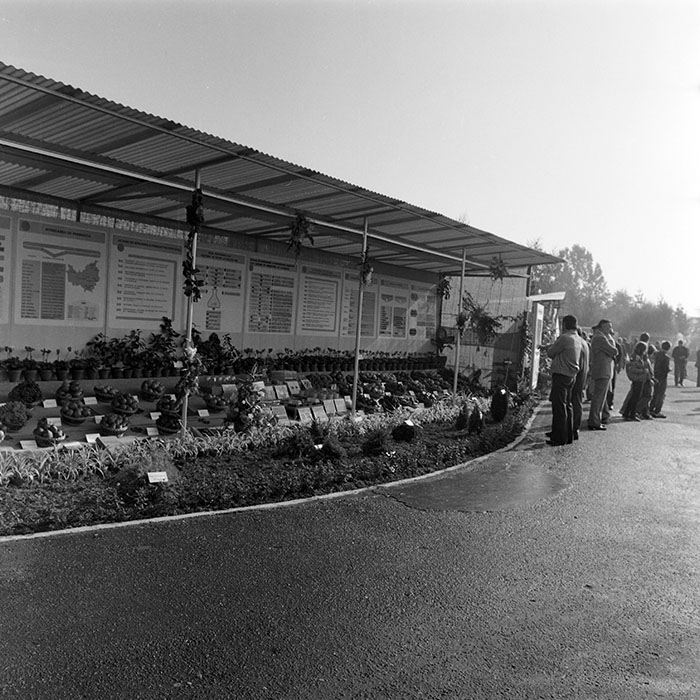 minerva_1984_c2_c7r4_026