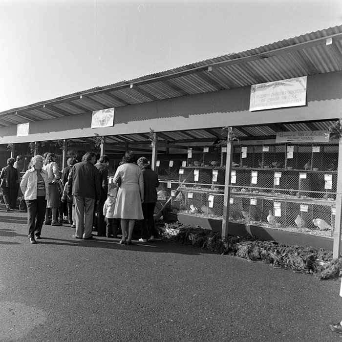 minerva_1984_c2_c7r4_027