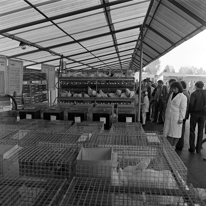 minerva_1984_c2_c7r4_028