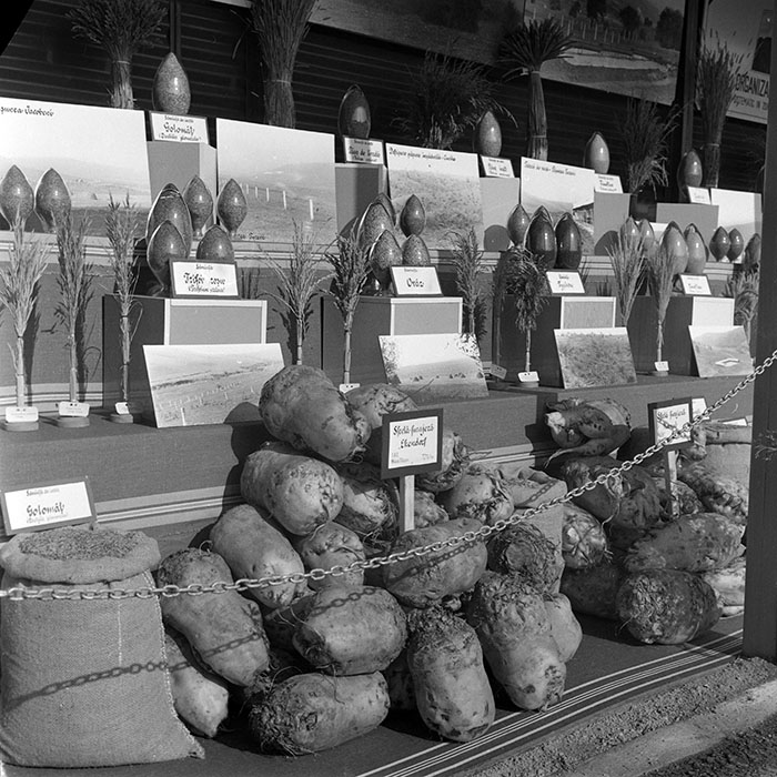 minerva_1984_c2_c7r4_030