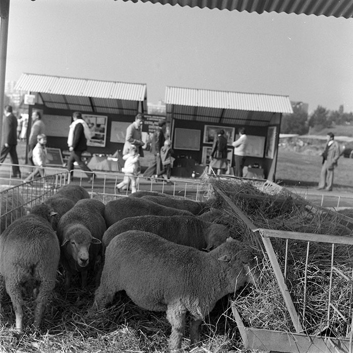 minerva_1984_c2_c7r4_033