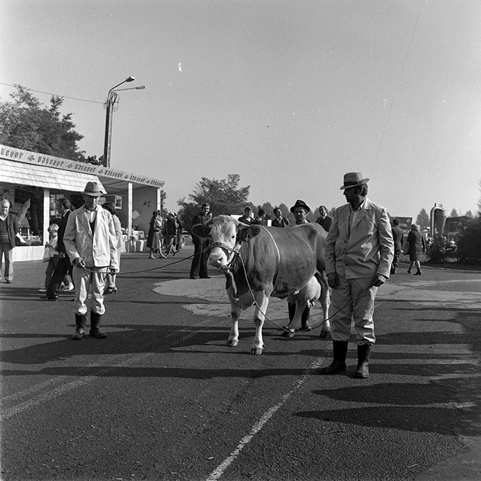 minerva_1984_c2_c7r4_034