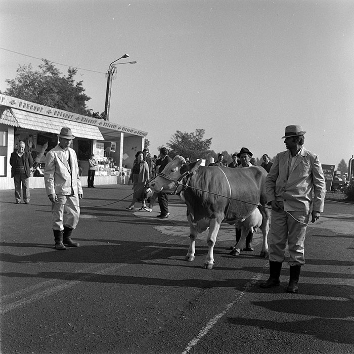 minerva_1984_c2_c7r4_035