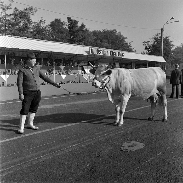 minerva_1984_c2_c7r4_036