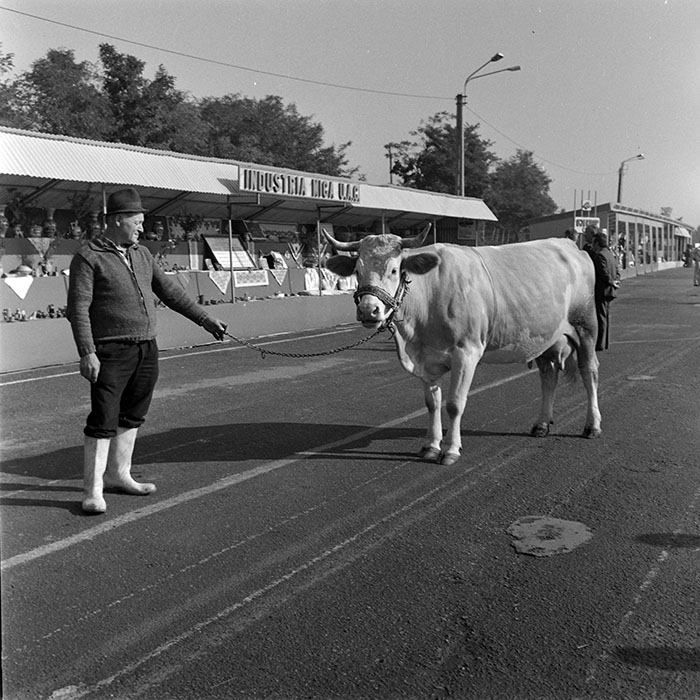 minerva_1984_c2_c7r4_037