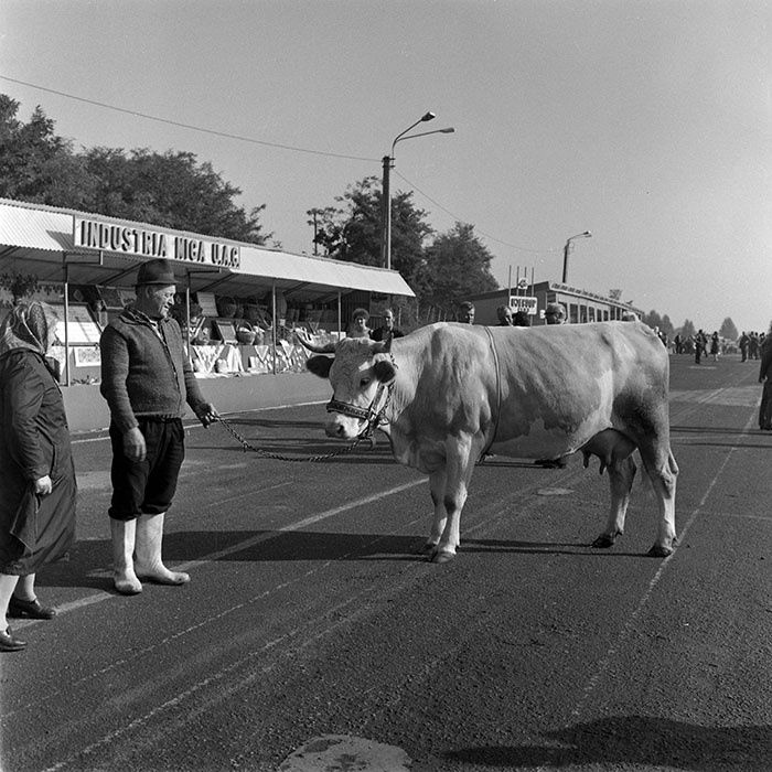 minerva_1984_c2_c7r4_038