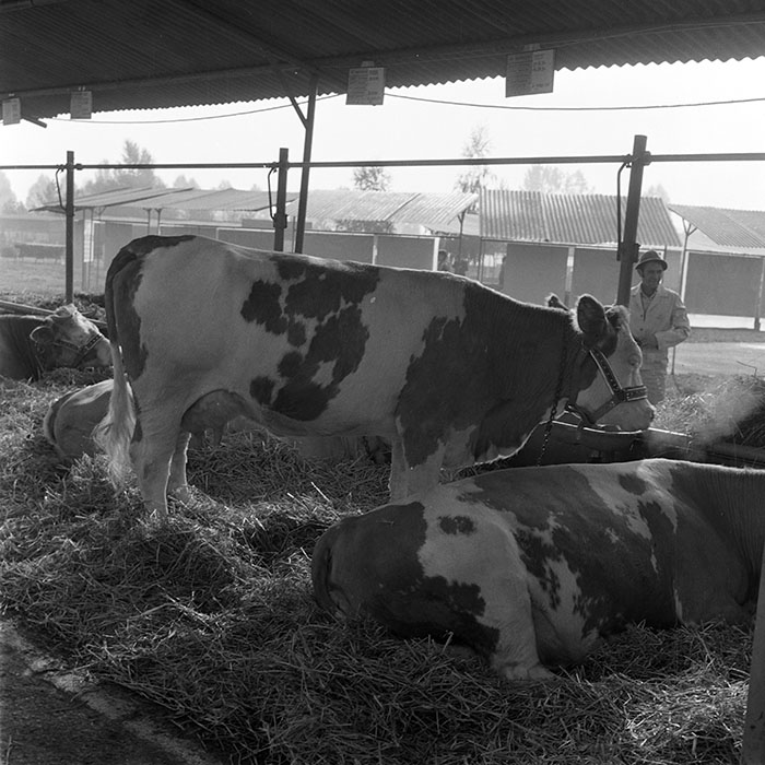 minerva_1984_c2_c7r4_039