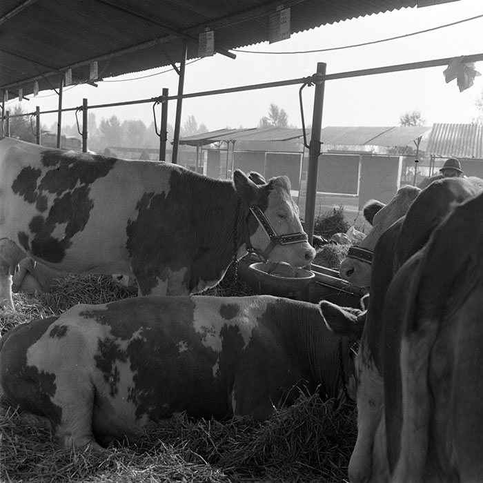 minerva_1984_c2_c7r4_040