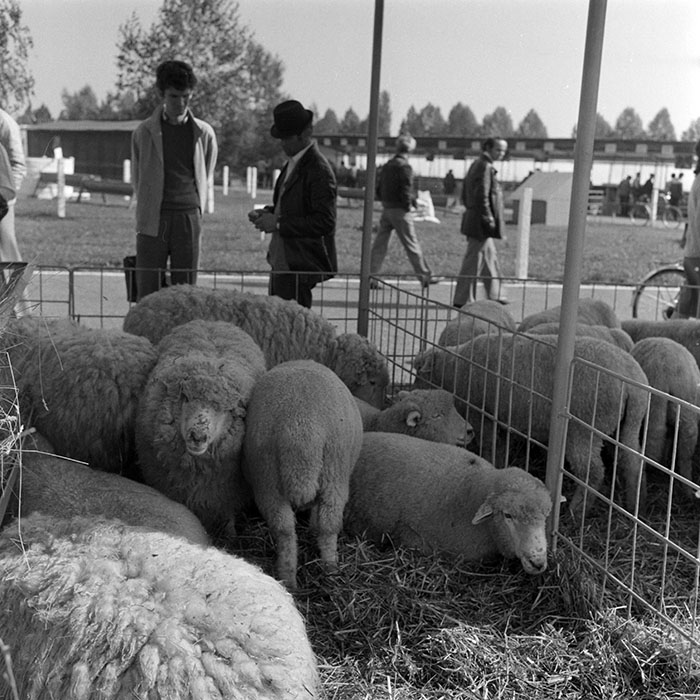 minerva_1984_c2_c7r4_042