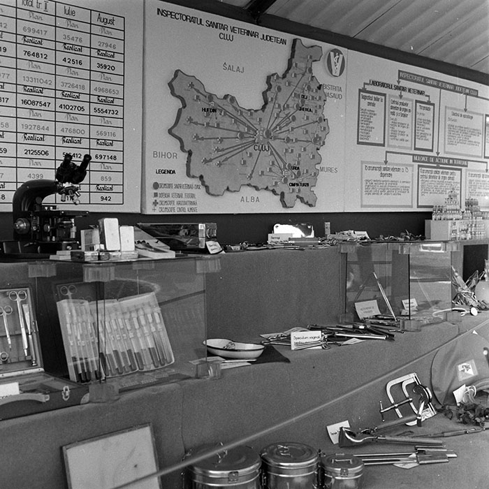 minerva_1984_c2_c7r4_043