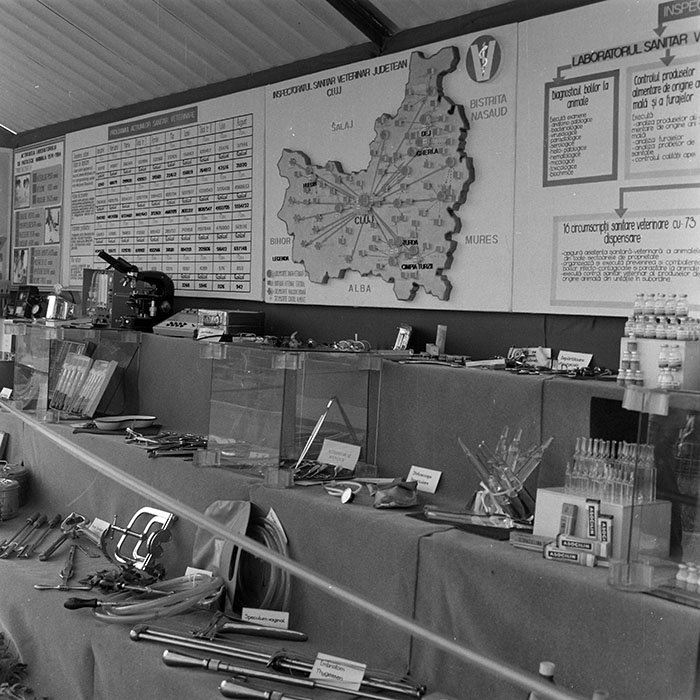 minerva_1984_c2_c7r4_044