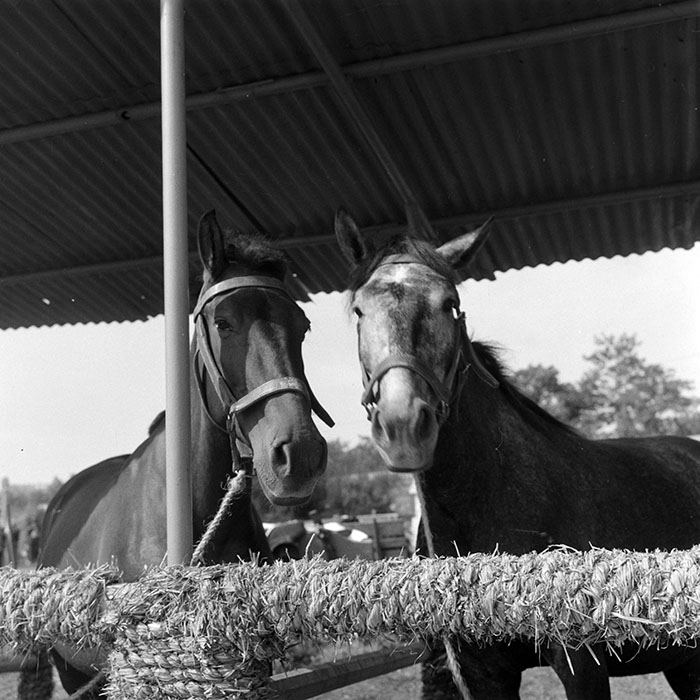 minerva_1984_c2_c7r4_052