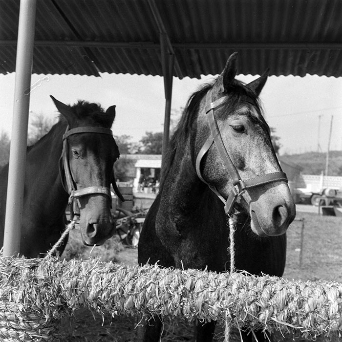 minerva_1984_c2_c7r4_053