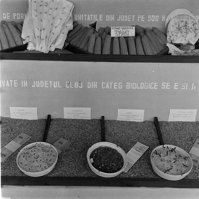 minerva_1984_c2_c7r5_001