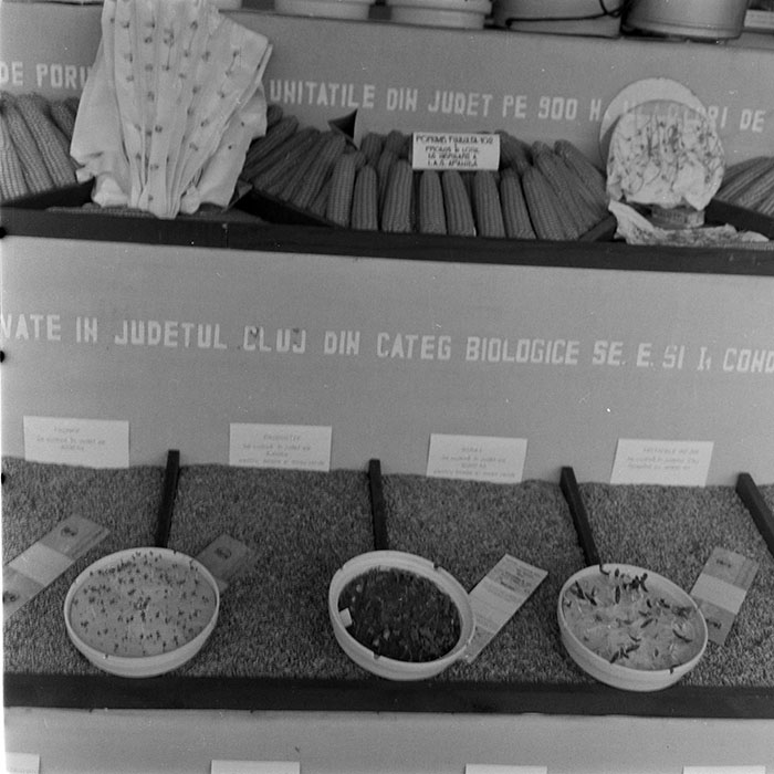 minerva_1984_c2_c7r5_002