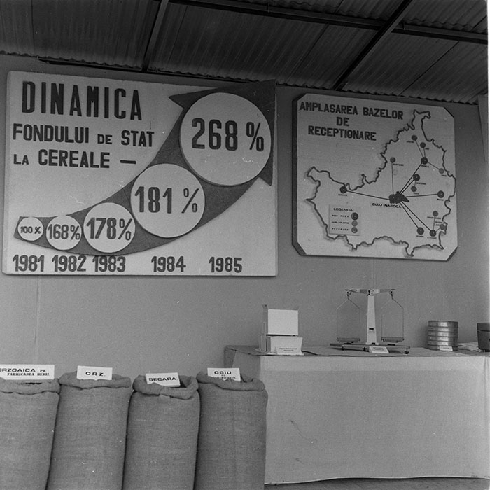 minerva_1984_c2_c7r5_003