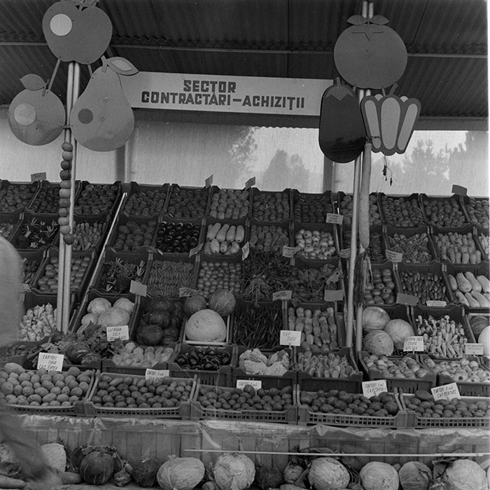 minerva_1984_c2_c7r5_004