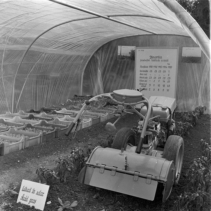 minerva_1984_c2_c7r5_006