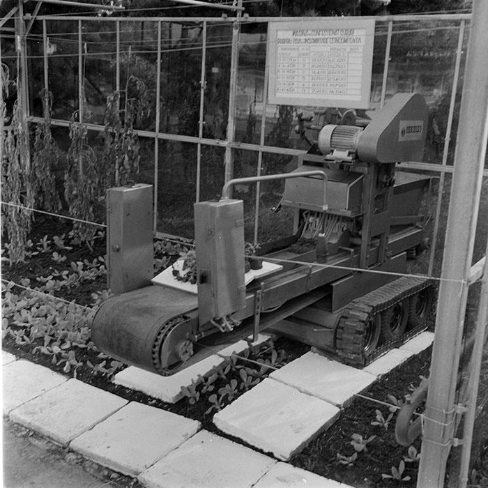 minerva_1984_c2_c7r5_007